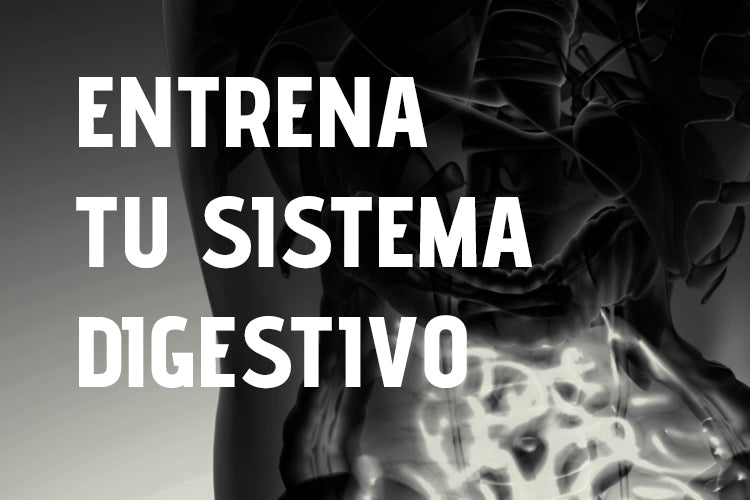 fante-guia-entrena-sistema-digestivo
