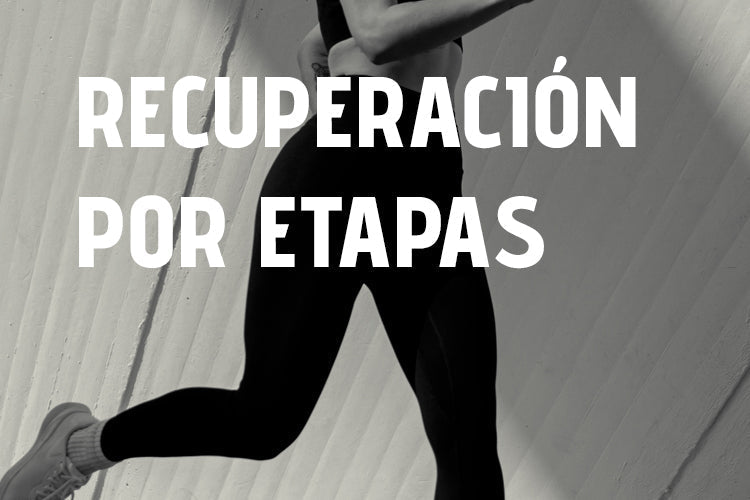 fante-guia-recuperacion-por-etapas