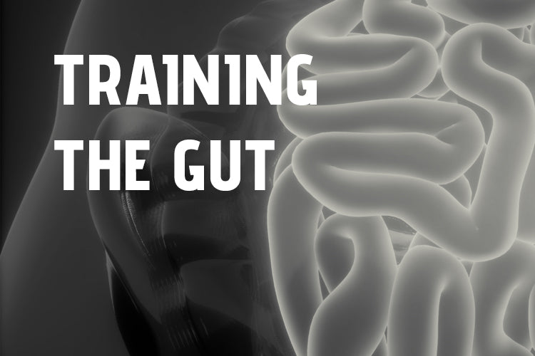 fante-guia-training-the-gut