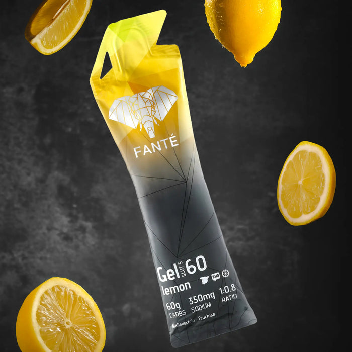 Gel 60