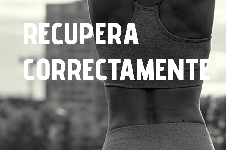 fante-guia-recupera-correctamente