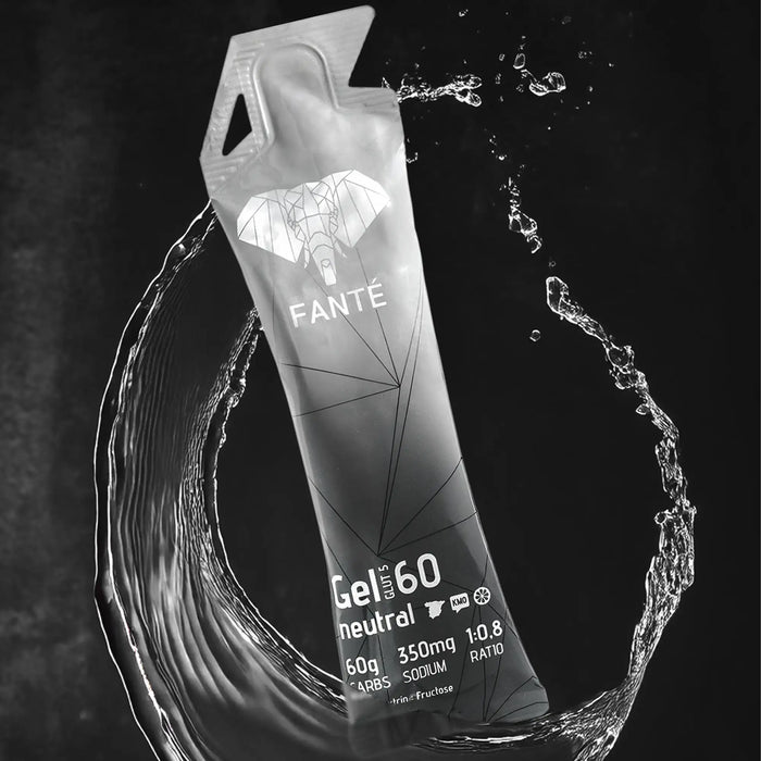 Gel 60