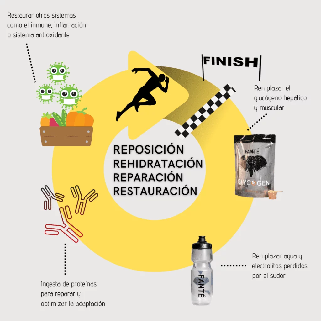 recuperacion - Recuperación por etapas FANTÉ