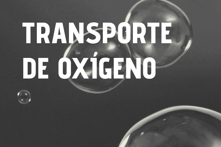 san silvestre - Triglicéridos y mejora del transporte de oxígeno FANTÉ