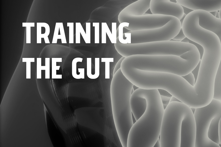 problemas gastrointestinales - Training the gut FANTÉ